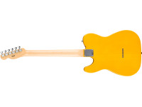 Fender STD TELE MN BPG BTB Fender STD TELE MN BPG BTB